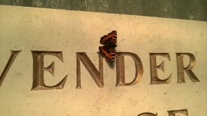 Traditional Engraved Name Plaque